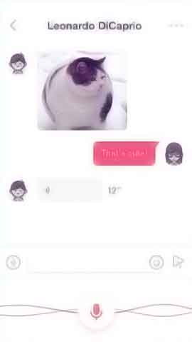 DDOS攻击平台